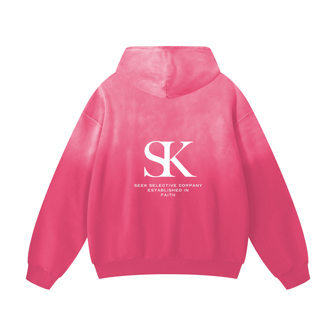 ESTABLISHED IN FAITH HOODIE
